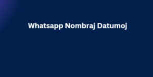 Whatsapp Nombraj Datumoj