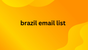 brazil email list