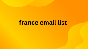 france email list