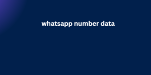 whatsapp number data